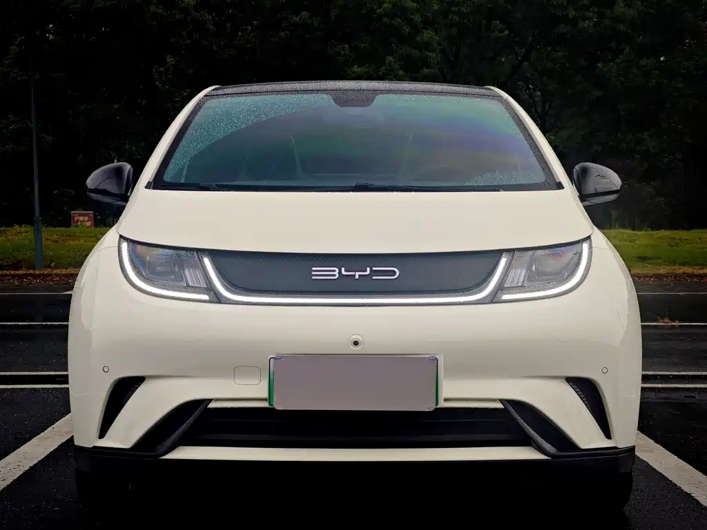 BYD Dolphin — миниатюра 2