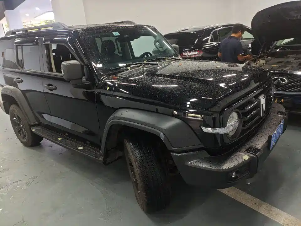 Tank 300 2024 2.0T