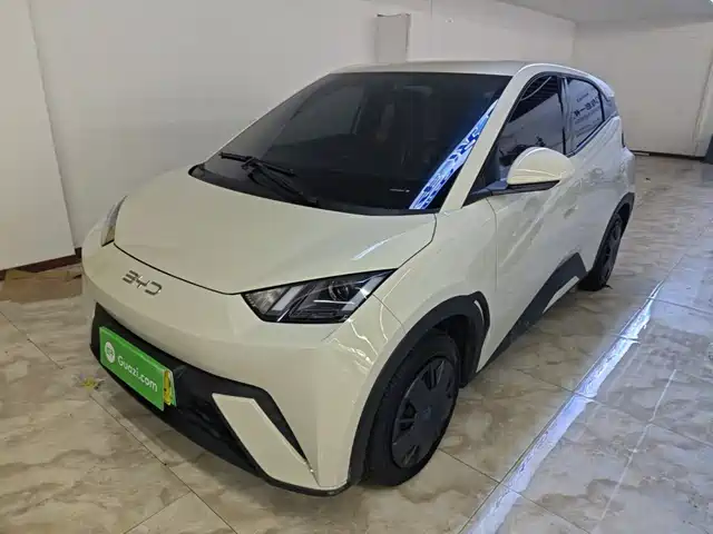 2025 BYD Seagull