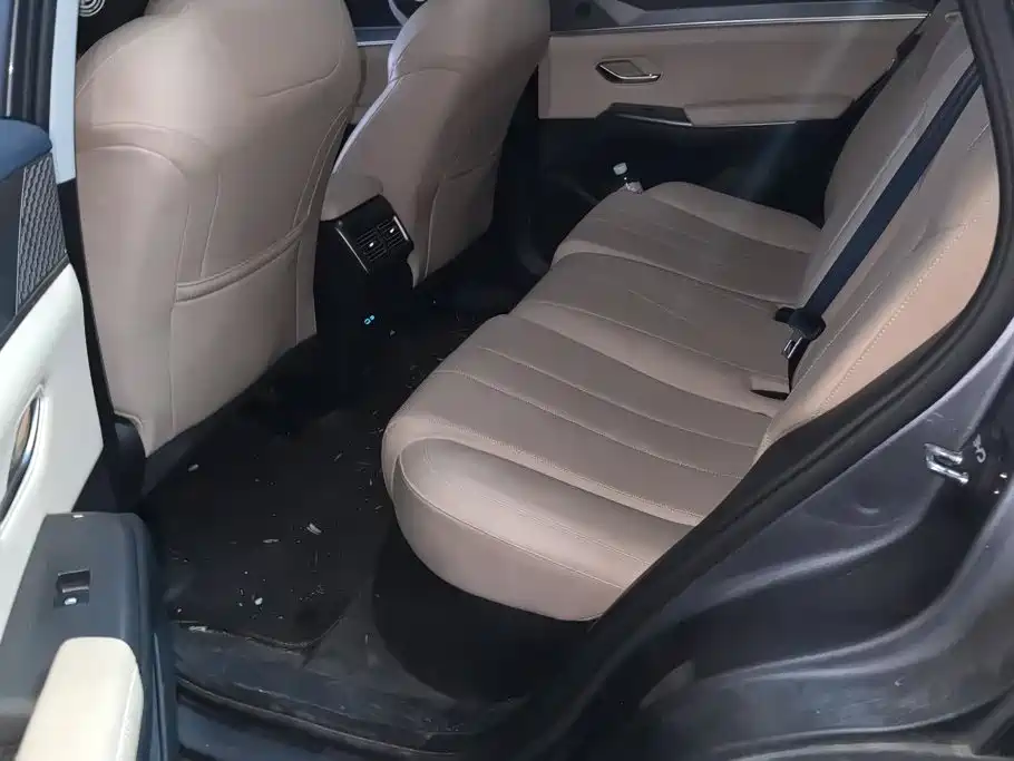 BYD Pro New Energy — миниатюра 11