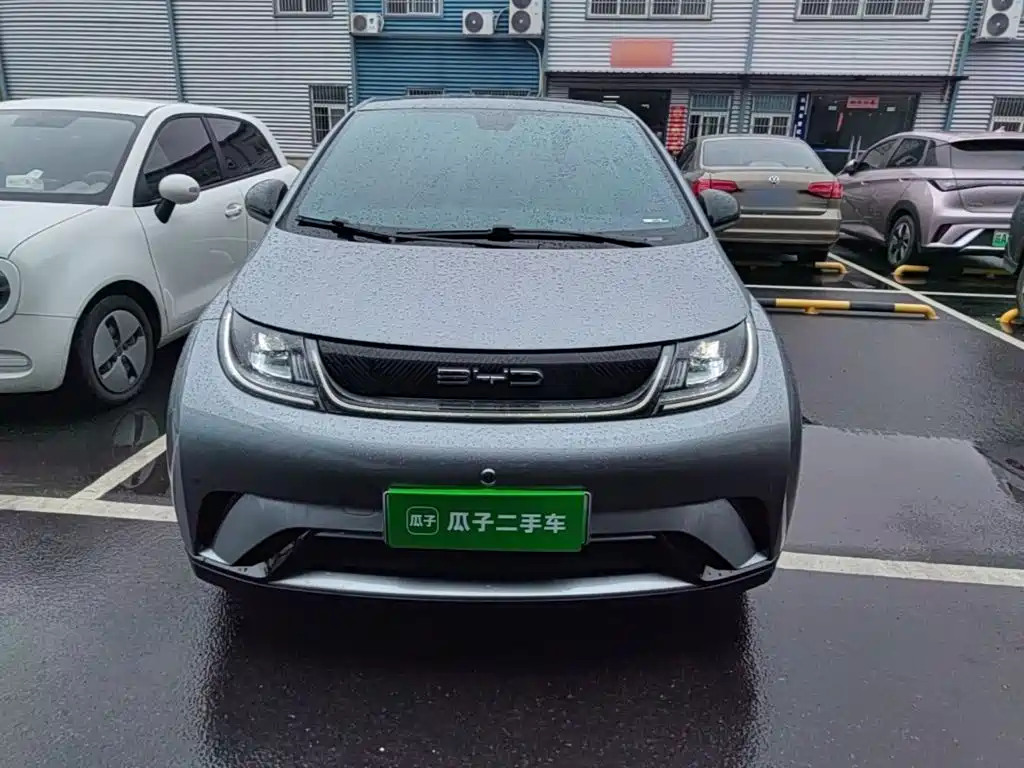 BYD Dolphin — миниатюра 3