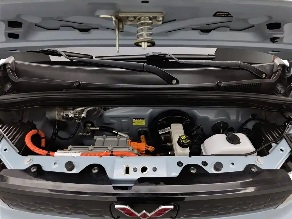 Wuling Mini EV MINIEV 2020 Enjoy