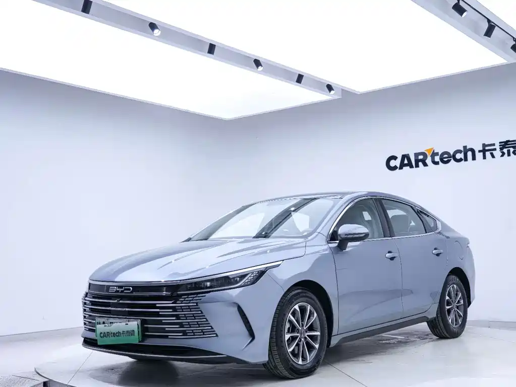 BYD Destroyer 05 2024 DM-i 55KM Luxury