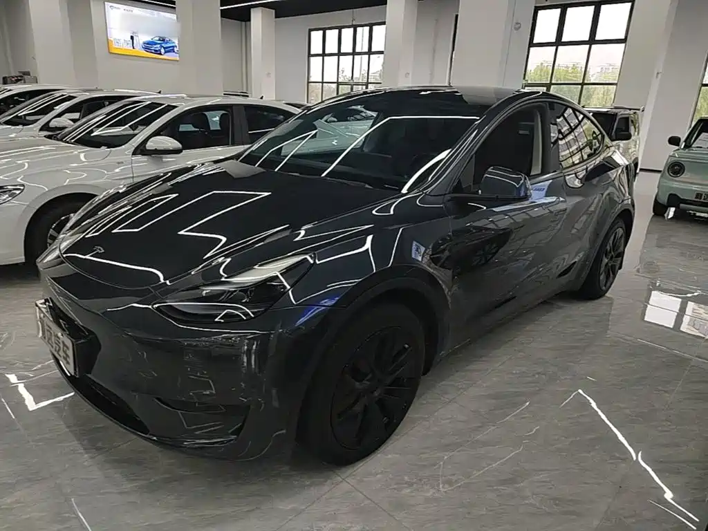 Tesla Model Y — миниатюра 2
