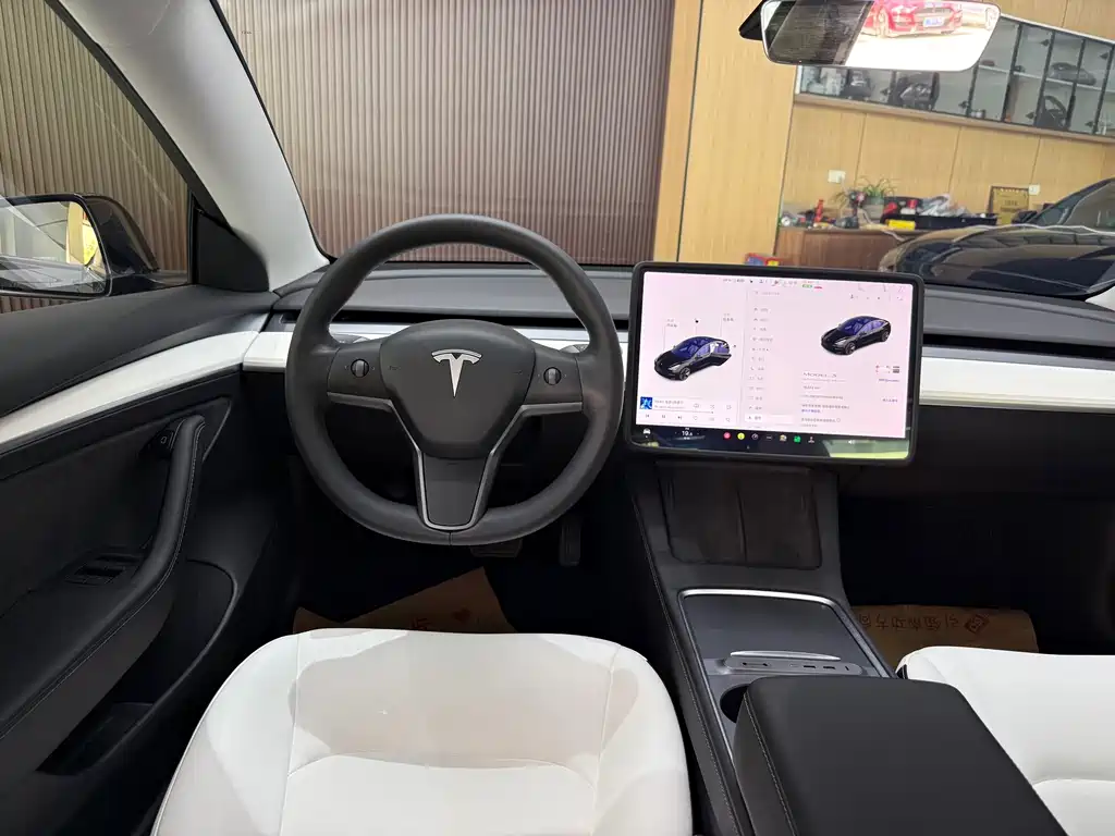 Tesla Model 3 — миниатюра 18