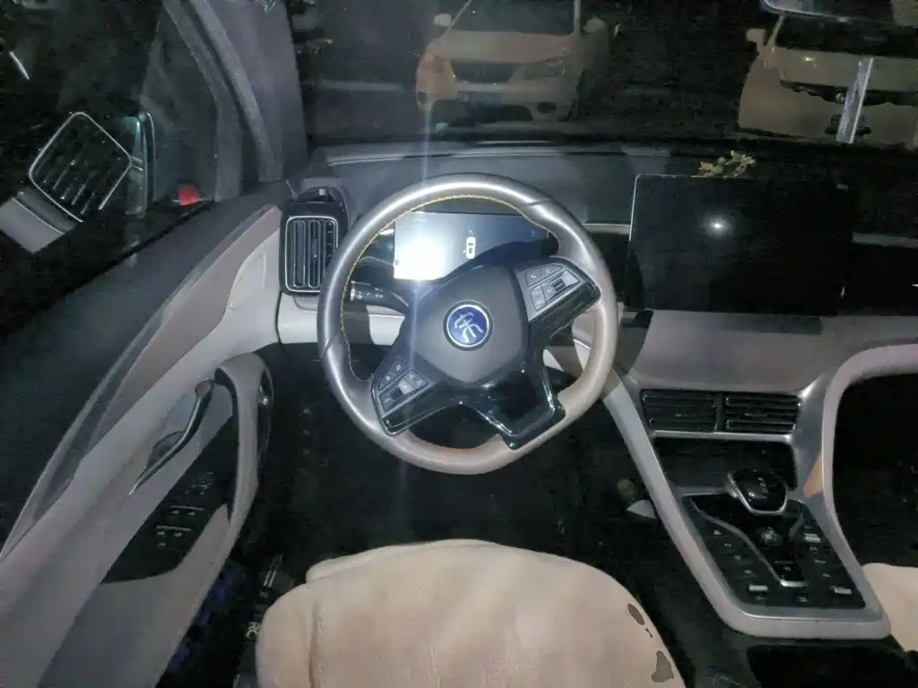 BYD Pro New Energy — миниатюра 11