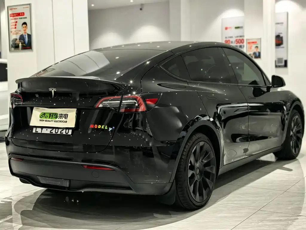Tesla Model Y — миниатюра 4