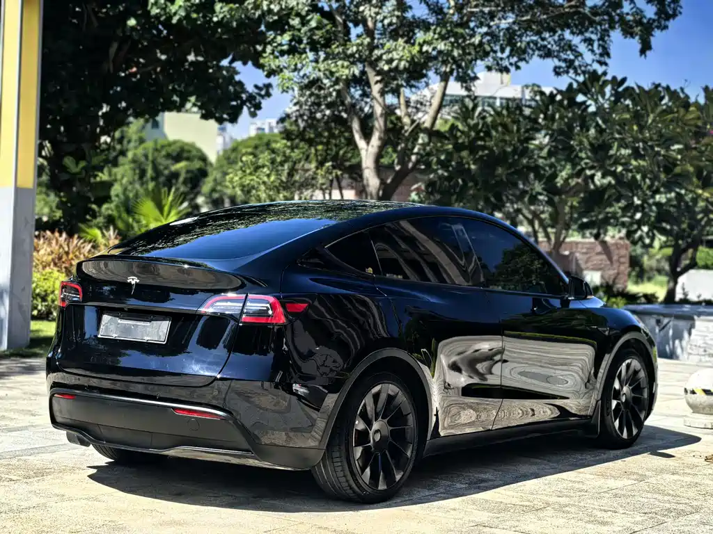 Tesla Model Y — миниатюра 12
