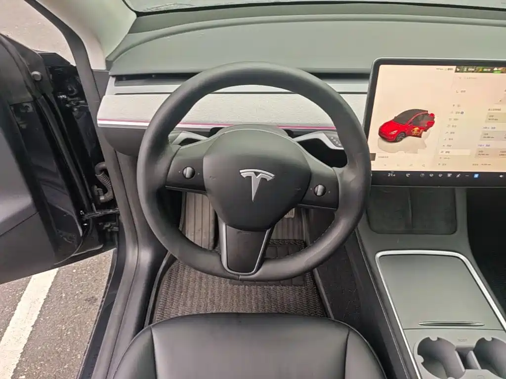 Tesla Model Y — миниатюра 11
