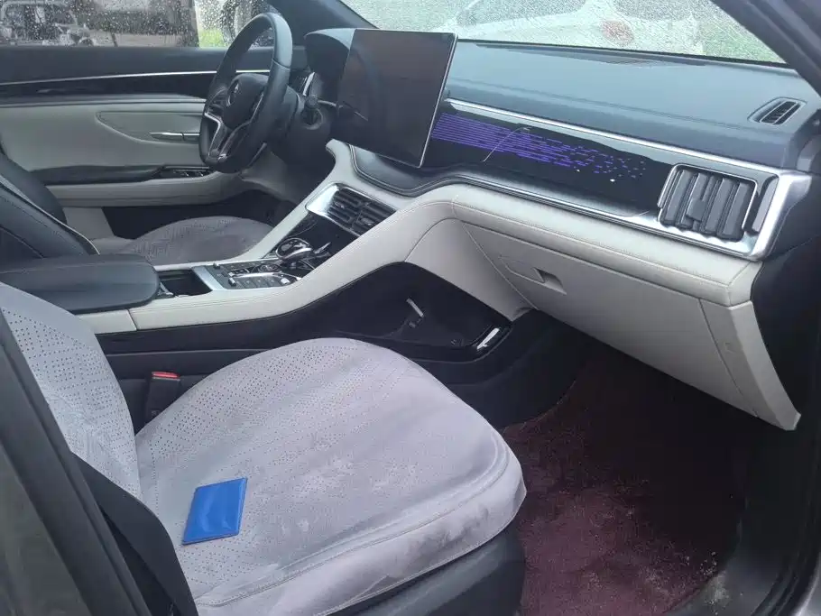 BYD PLUS New Energy — миниатюра 8