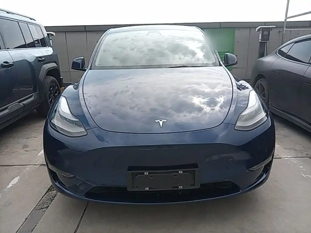 Tesla Model Y — миниатюра 3