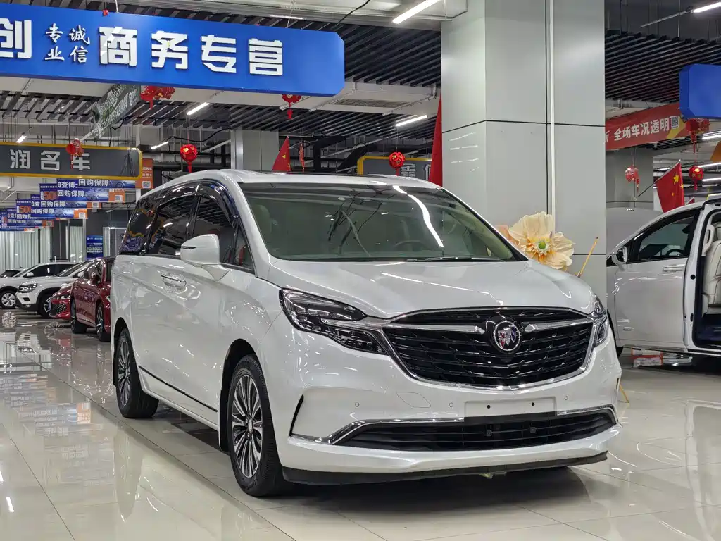 Buick GL8 — миниатюра 3