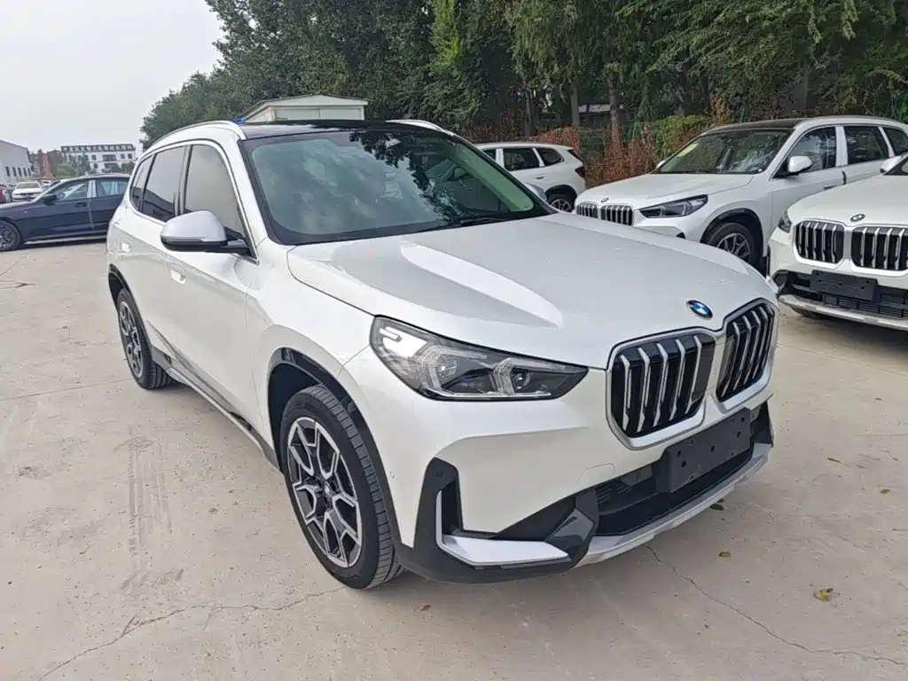 BMW X1 — миниатюра 4