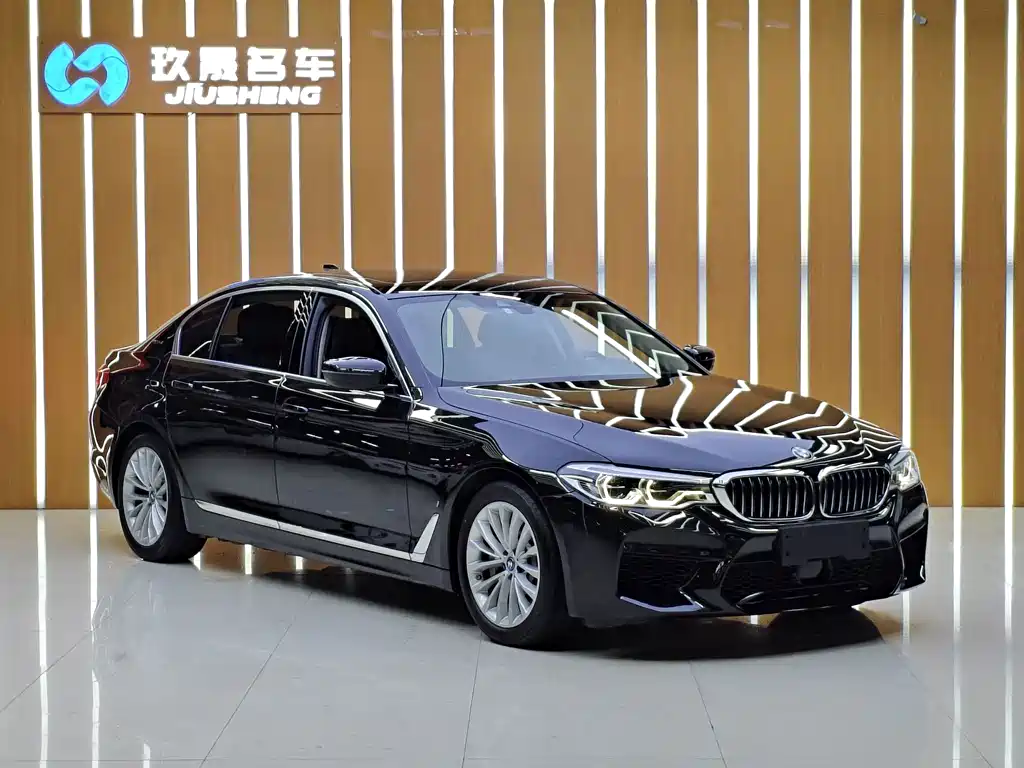 BMW 5 Series New Energy — миниатюра 3