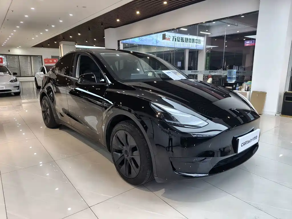 Tesla Model Y — миниатюра 4