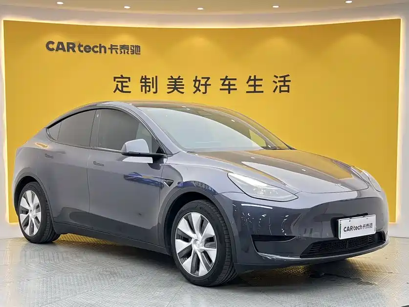 Tesla Model Y — миниатюра 2