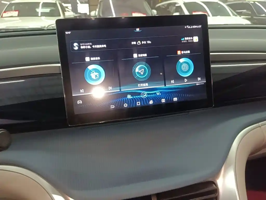 BYD Pro — миниатюра 13