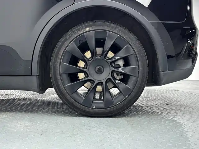Tesla Model Y — миниатюра 16