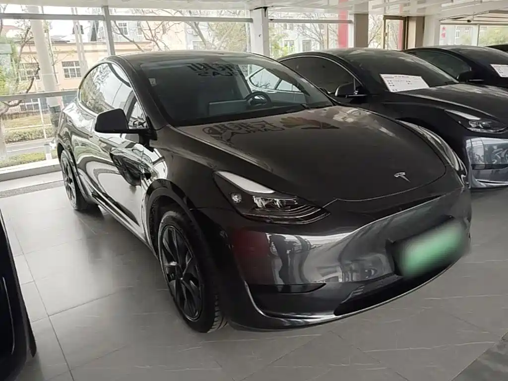 Tesla Model Y — миниатюра 4