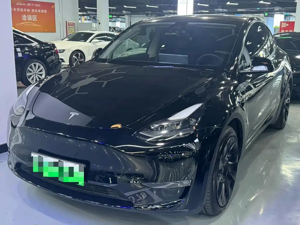 Tesla Model Y 2021 Standard Range RWD Edition