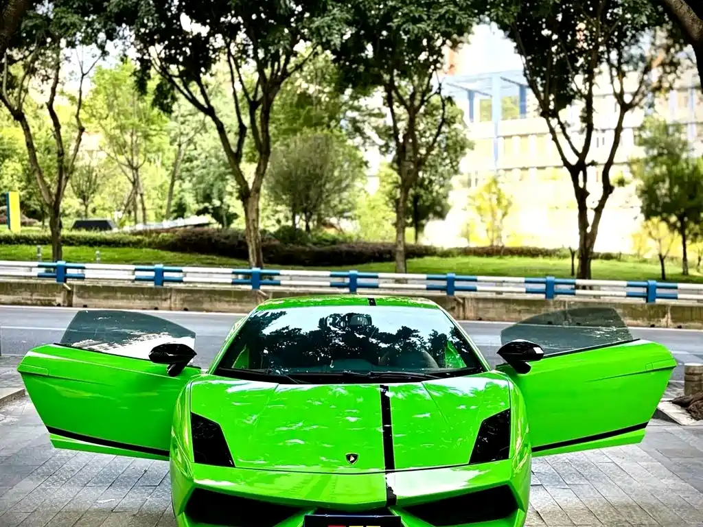 Lamborghini Gallardo — миниатюра 9