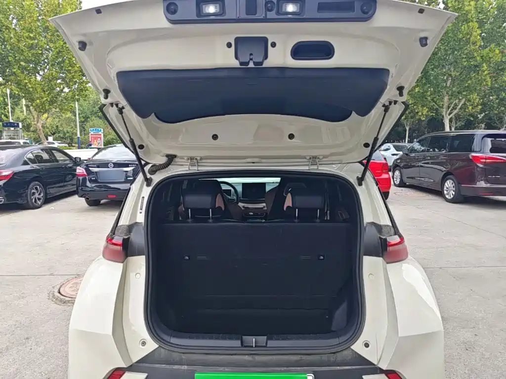 BYD Seagull — миниатюра 19