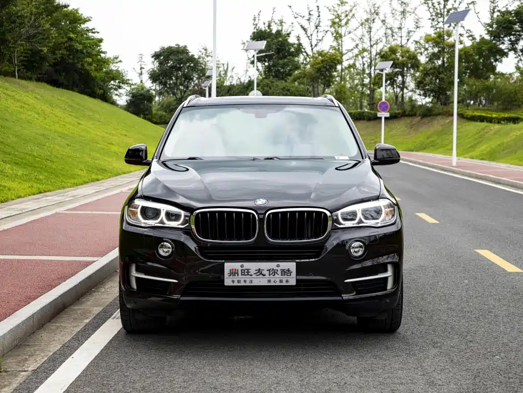 BMW X5 (Import) — миниатюра 2