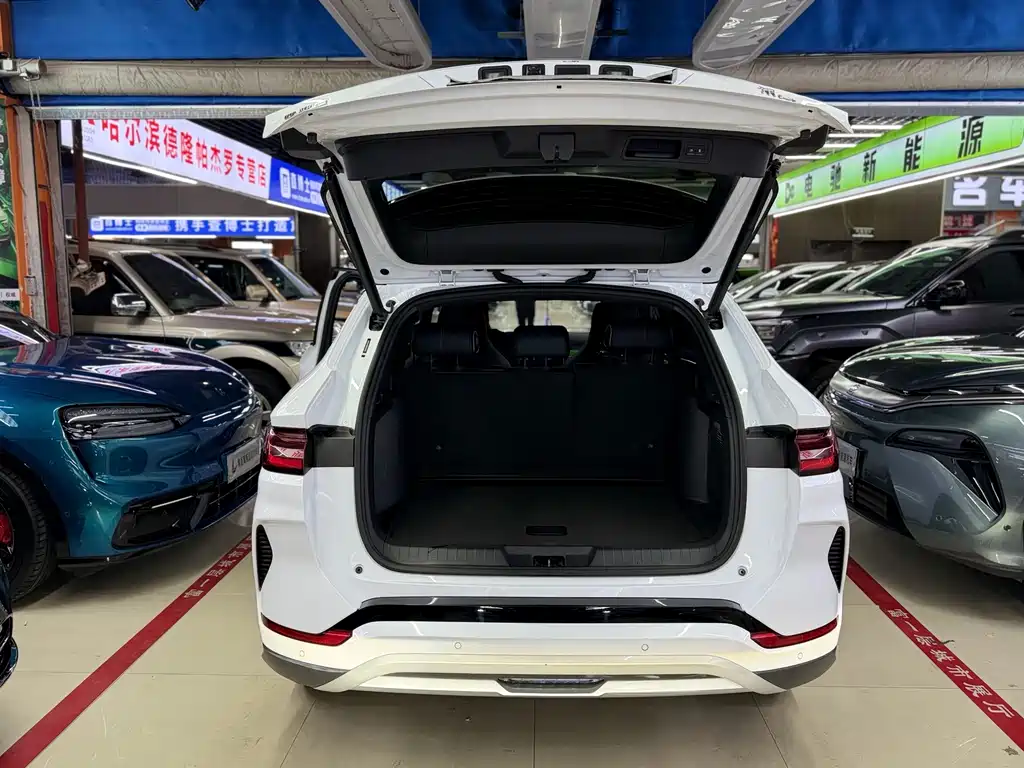 BYD PLUS New Energy — миниатюра 15