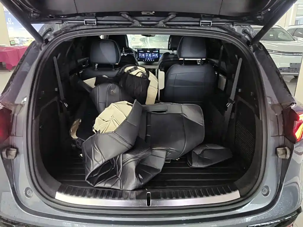 BYD Tang New Energy — миниатюра 19