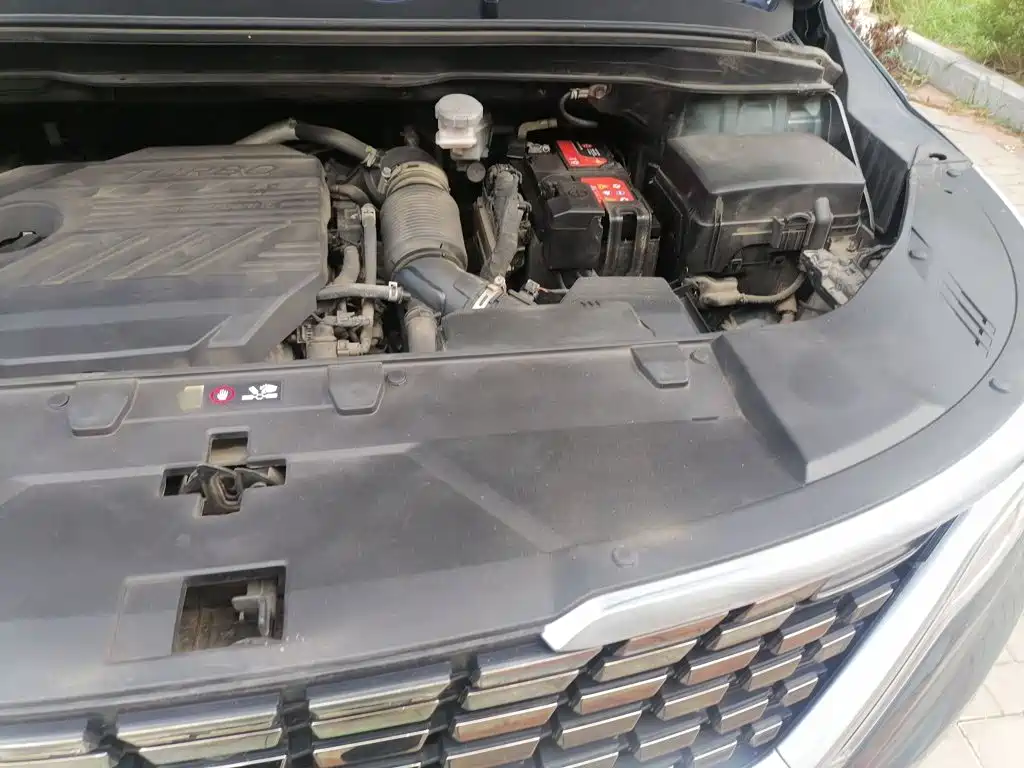 Kia Carnival — миниатюра 20