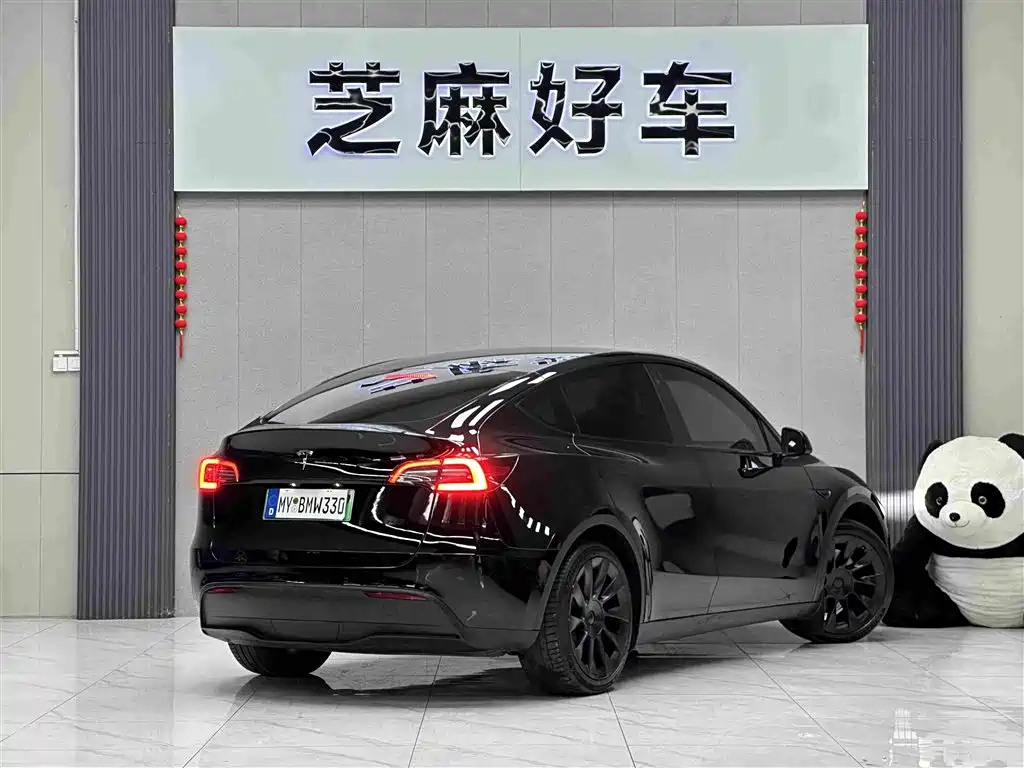 Tesla Model Y — миниатюра 6