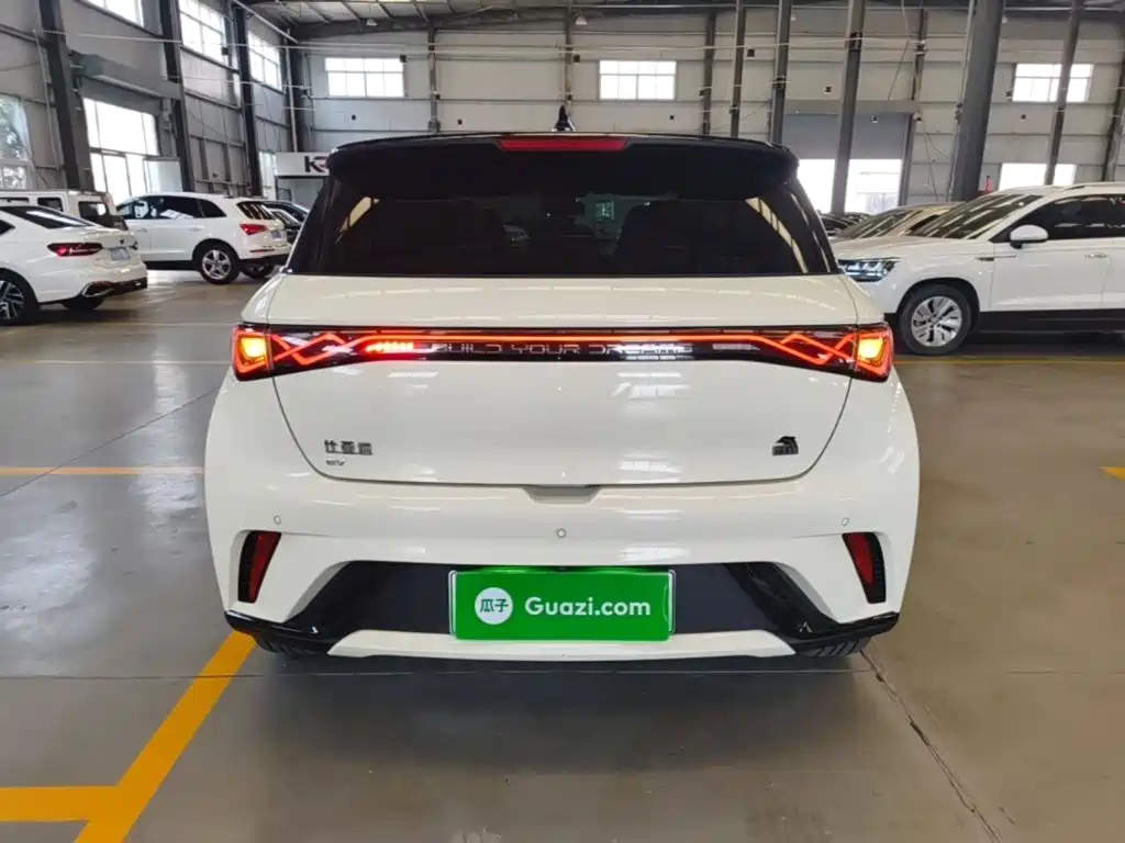 BYD Dolphin — миниатюра 6