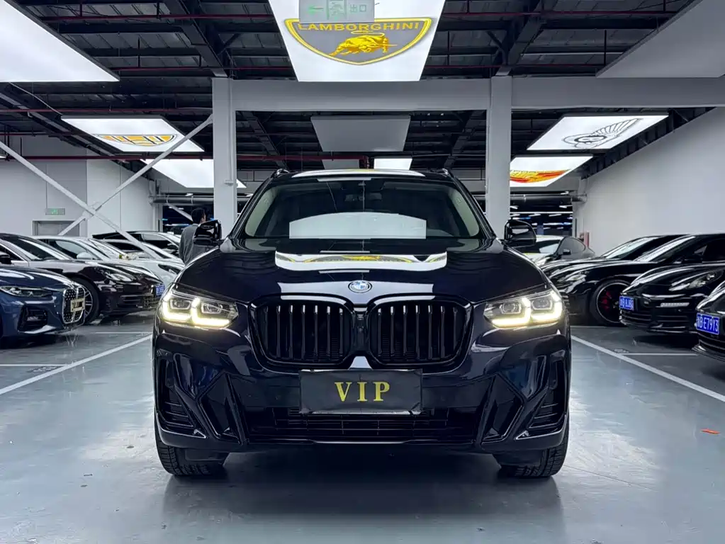 BMW X3 2023 xDrive30i Lead M