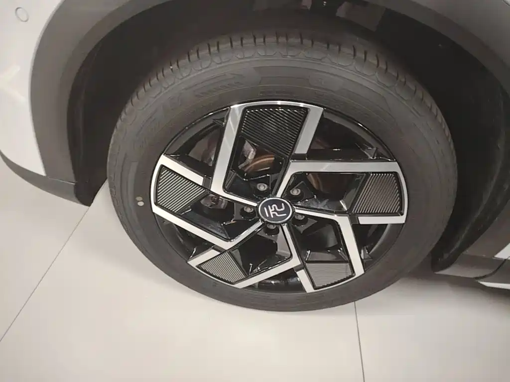 BYD Yuan Plus — миниатюра 23
