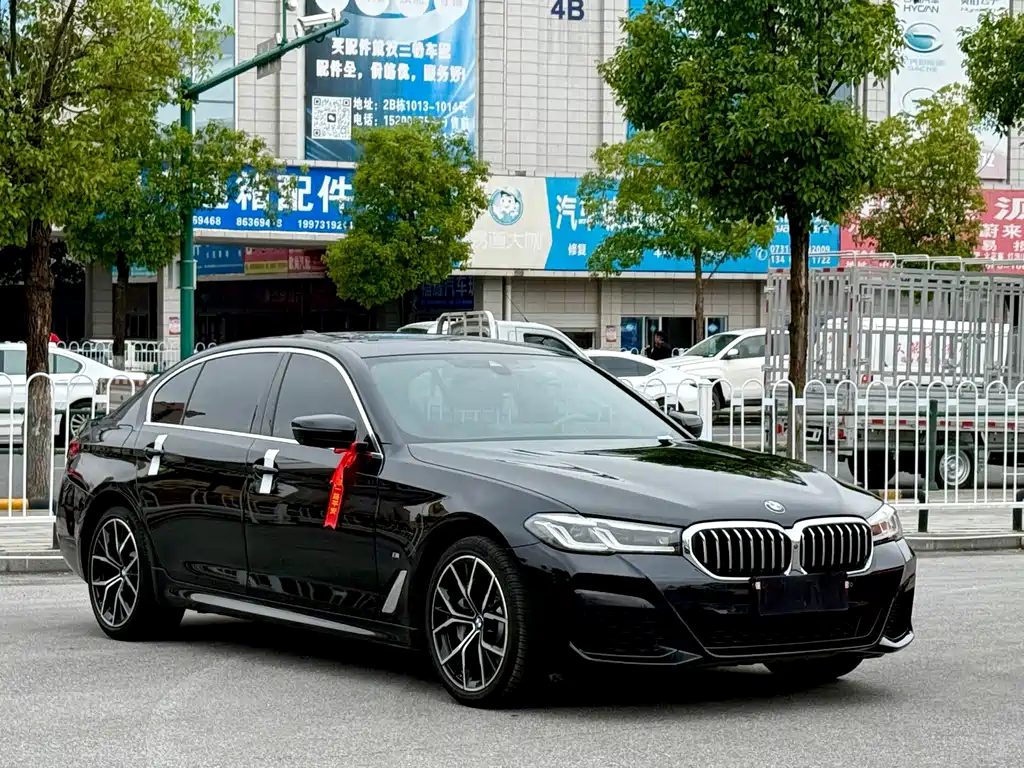 BMW 5 Series — миниатюра 3