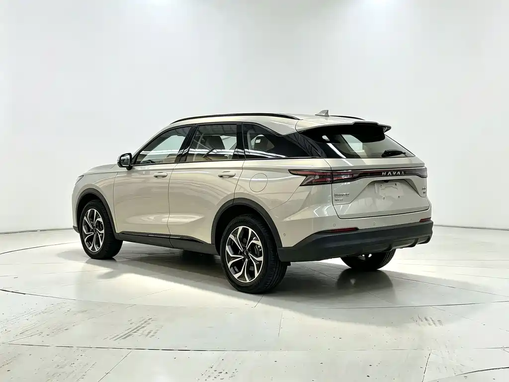 Haval Xiaolong MAX — миниатюра 8