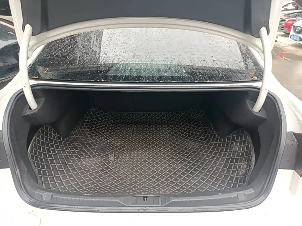 Volkswagen Lamando — миниатюра 19