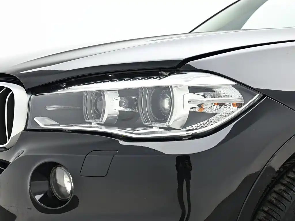 BMW X5 (Import) — миниатюра 10