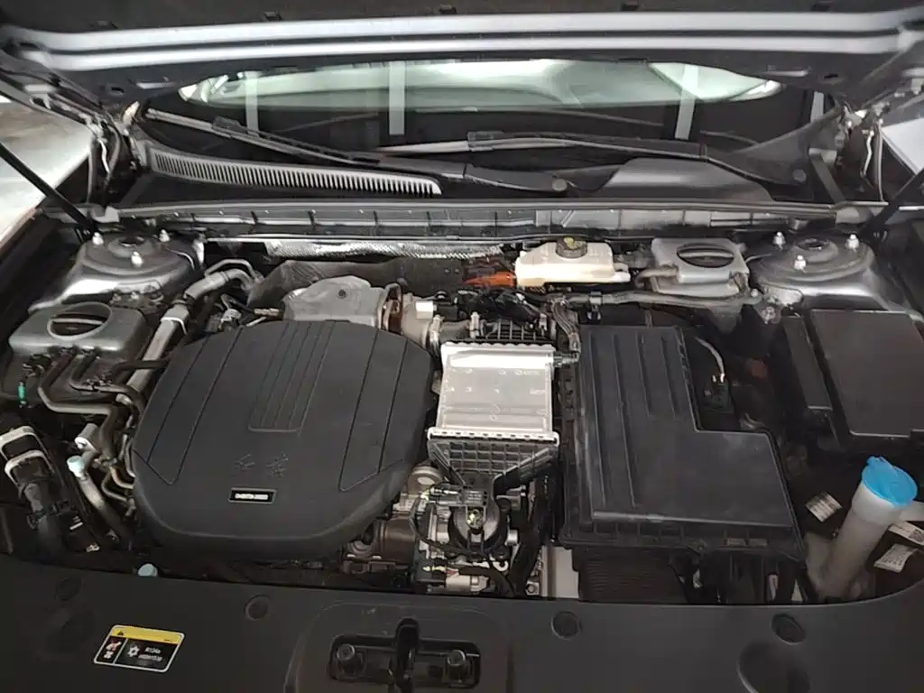 Hongqi Hongqi H5 PHEV — миниатюра 20