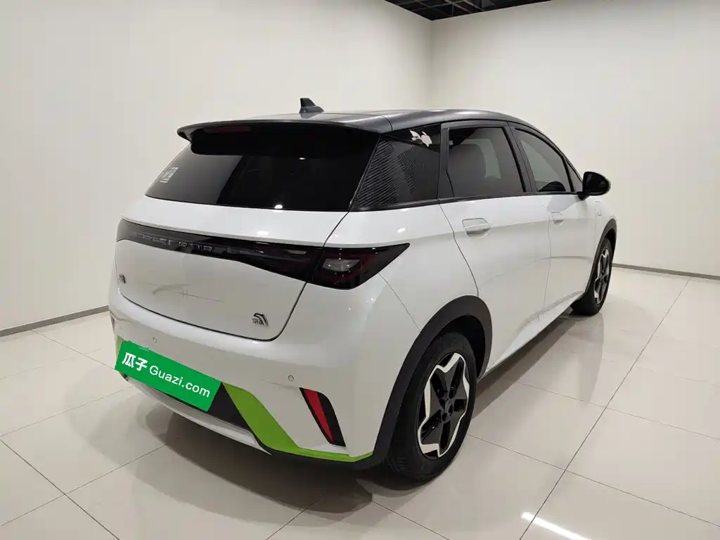 BYD Dolphin — миниатюра 6