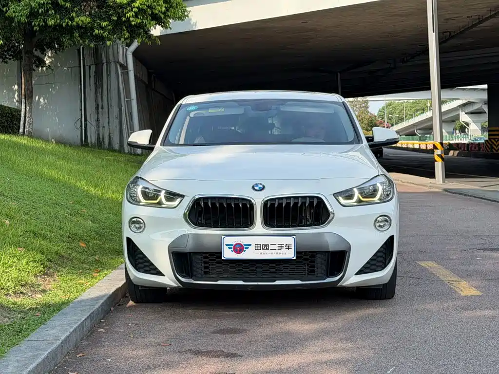 BMW X2 (Import) — миниатюра 2