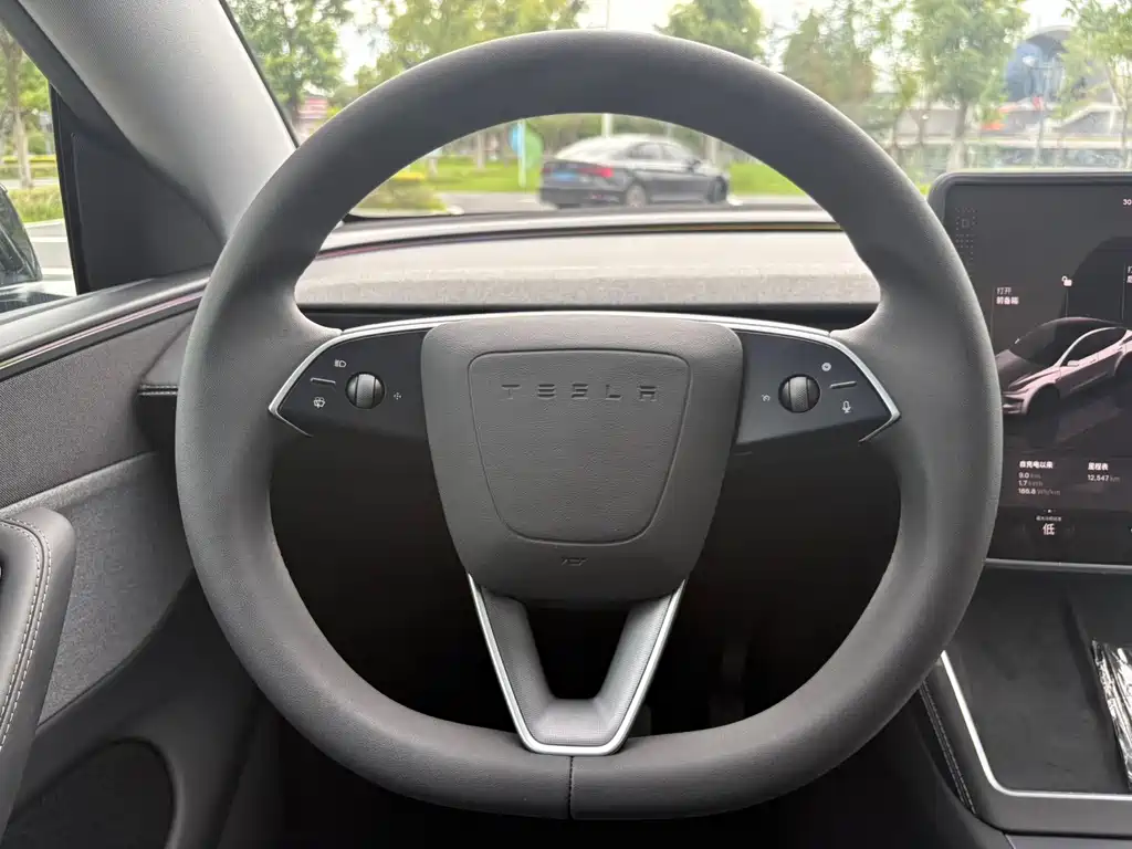 Tesla Model Y — миниатюра 12