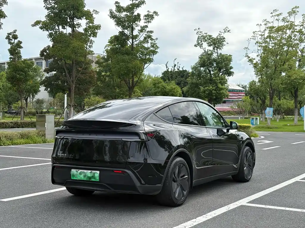 Tesla Model Y — миниатюра 4