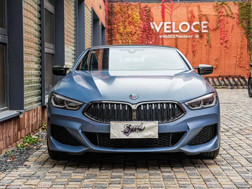 BMW 8 SERIES