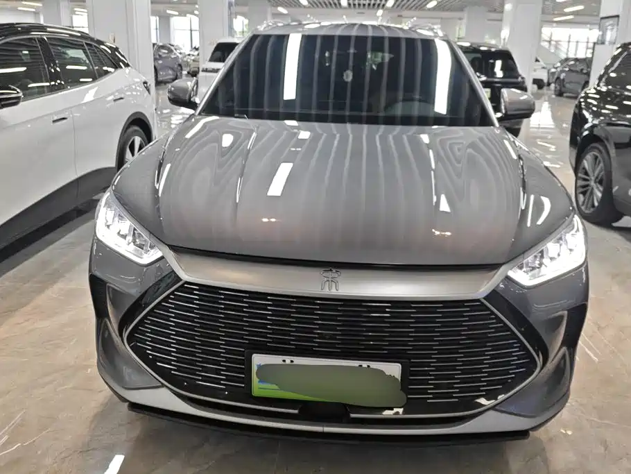 BYD PLUS New Energy — миниатюра 2