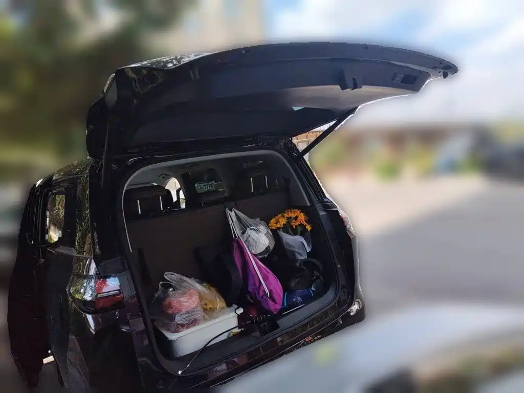 Wuling Xingguang 730 New Energy — миниатюра 15