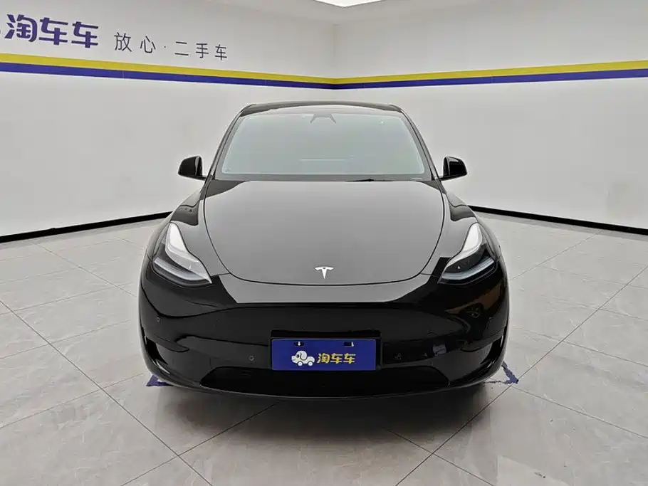 Tesla Model Y — миниатюра 2