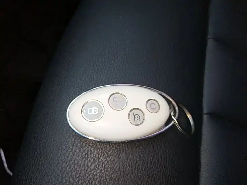 BYD MAX — миниатюра 9
