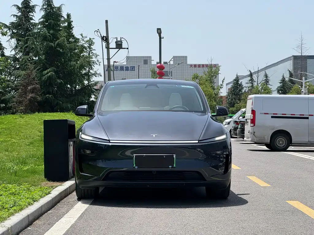 Tesla Model Y — миниатюра 2