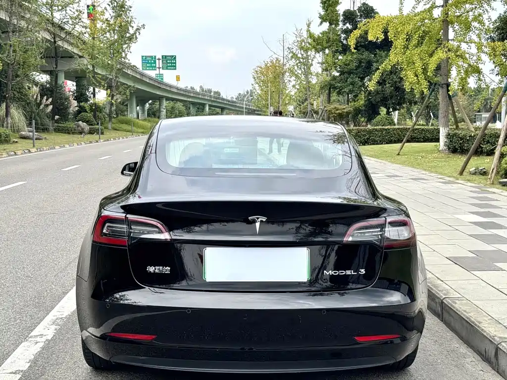 Tesla Model 3 — миниатюра 7